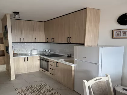 Ulofa Palmea | 4zida.rs