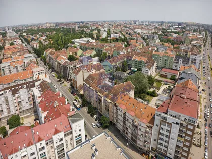 Cara Dušana | 4zida.rs