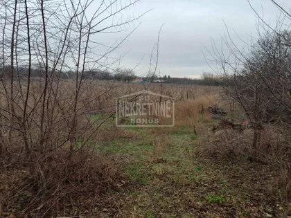 Srpski Šor | 4zida.rs