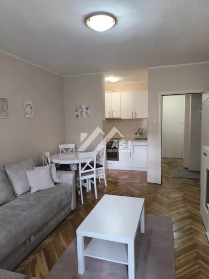 Dr Svetislava Kasapinovića | 4zida.rs