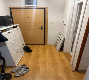 Novi Sad - Centar, Stari Grad, Gradske lokacije, Novi Sad, 1.5 stan | 4zida.rs