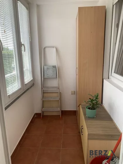 Cara Dušana | 4zida.rs