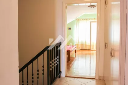 Miše Dimitrijevića | 4zida.rs