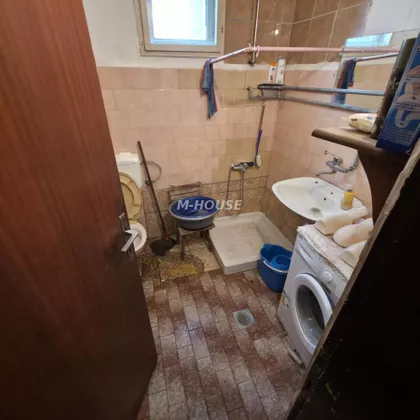 Svetozar Miletić | 4zida.rs