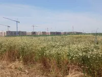 Veternička Rampa, Veternik, Gradske lokacije, Novi Sad | 4zida.rs