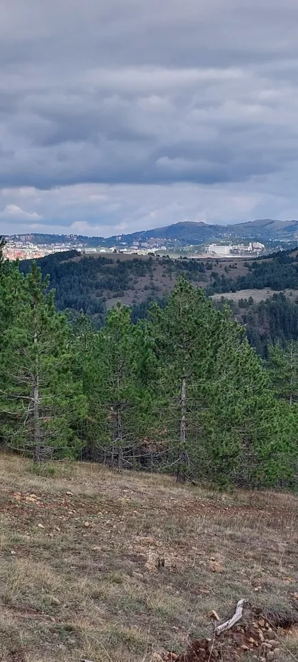 Kobilja Glava | 4zida.rs