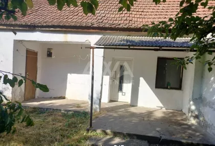 Svetozar Miletić | 4zida.rs