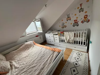 Šajkaš | 4zida.rs
