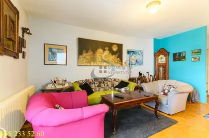 Dr Ivana Ribara | 4zida.rs