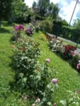 Plac | 4zida