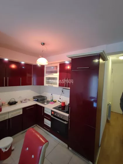 Miroslava Radojčića | 4zida.rs