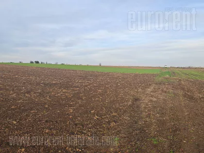 BATAJNICA AUTOPUT | 4zida.rs