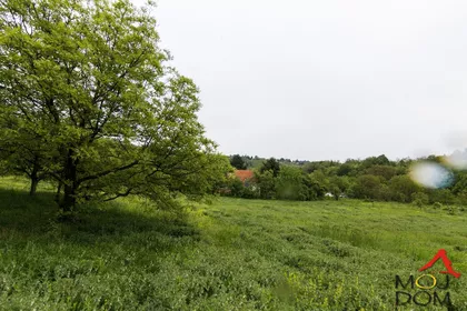 Čortanovci | 4zida.rs