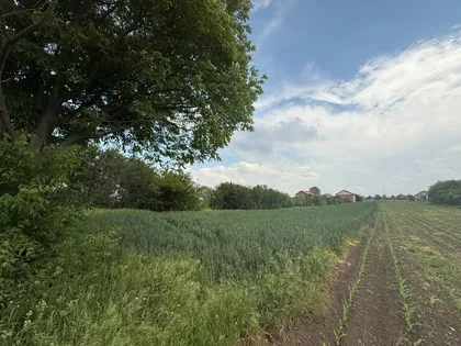 Vojlovica | 4zida.rs