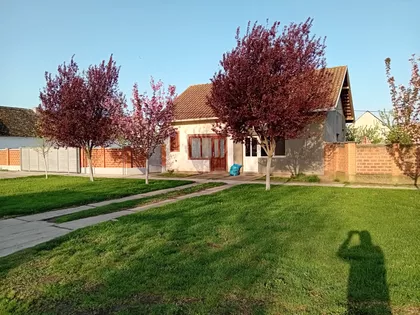 Petra Drapšina 117A | 4zida.rs