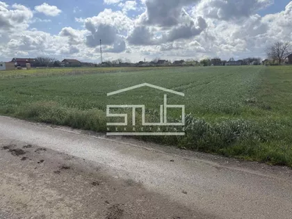 Dobanovci | 4zida.rs