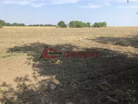 Poljoprivredno zemljište | 4zida