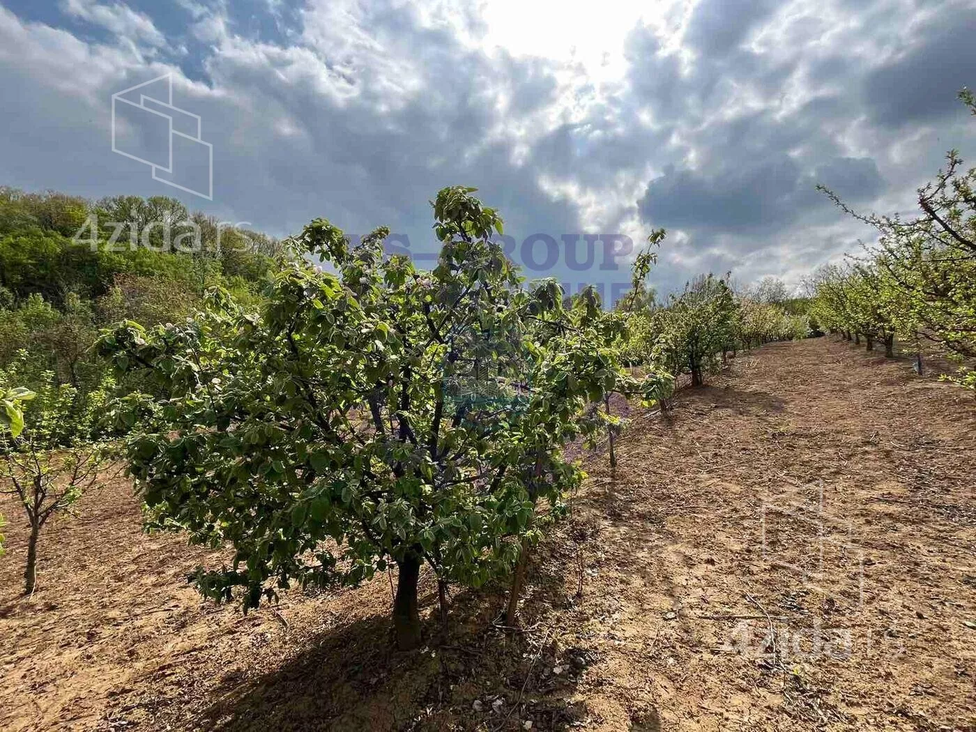 Poljoprivredno zemljište | 4zida