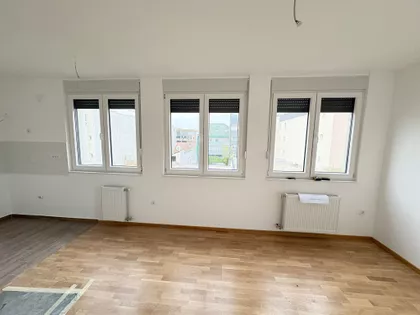 Jerneja Kopitara | 4zida.rs