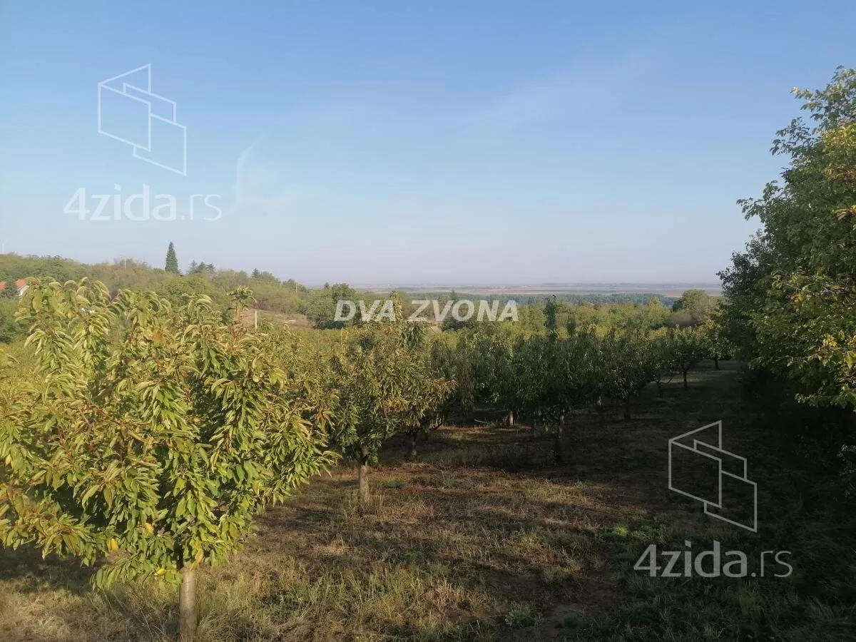 Plac | 4zida