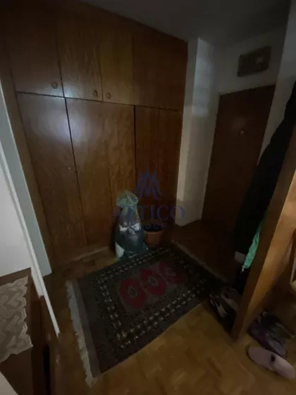 Rotkvarija | 4zida.rs