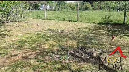 Čortanovci | 4zida.rs