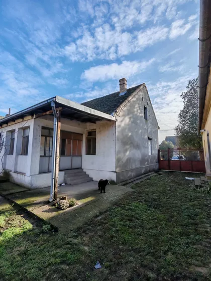 Sime Racića | 4zida.rs