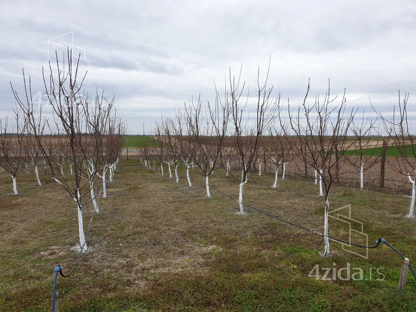 Poljoprivredno zemljište | 4zida