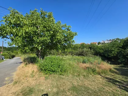 Đikino Brdo | 4zida.rs