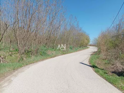Andreje Mitrovića | 4zida.rs