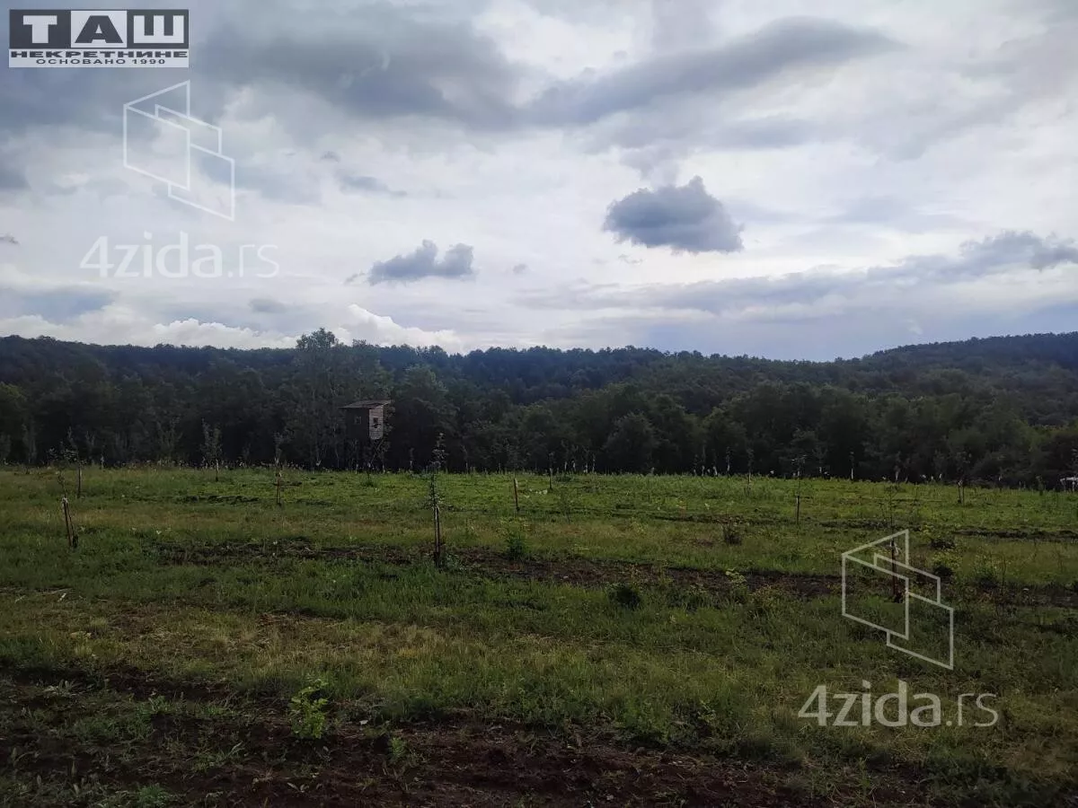 Plac | 4zida
