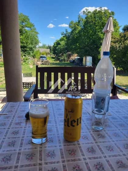 Međunarodni put | 4zida.rs