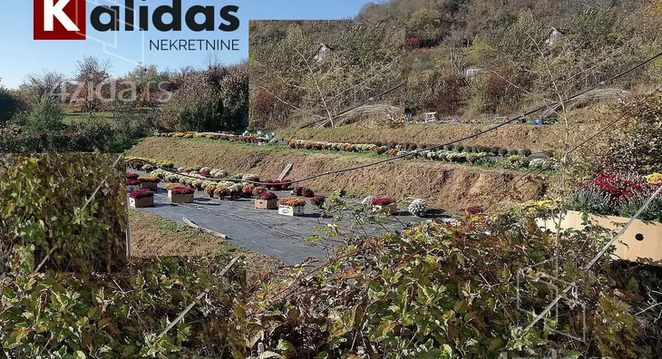 Plac | 4zida