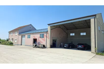Augusta Cesareca | 4zida.rs