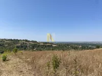 Plac | 4zida