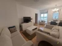 Nova Detelinara, Detelinara, Gradske lokacije, Novi Sad | 4zida.rs | 4zida.rs