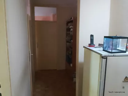 Majora Zorana Radosavljevića | 4zida.rs