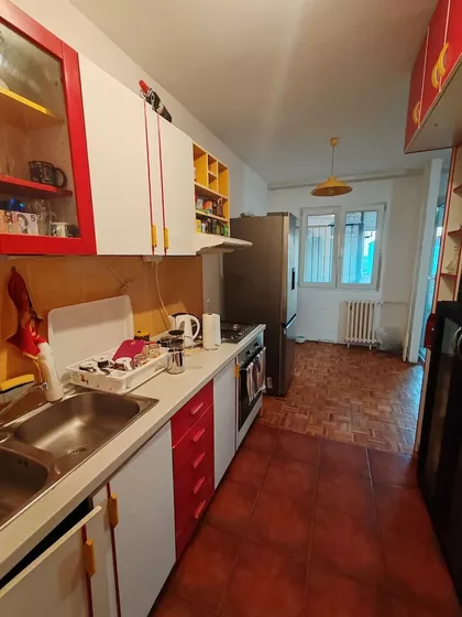 Dr Ivana Ribara | 4zida.rs