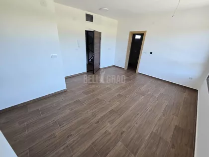 Belog narcisa | 4zida.rs