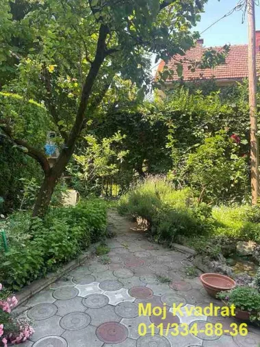 Banovo Brdo