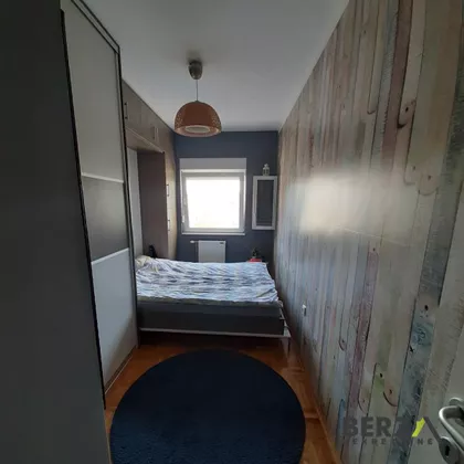 Nova Detelinara | 4zida.rs