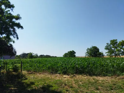 Gradina Salaši 96 | 4zida.rs