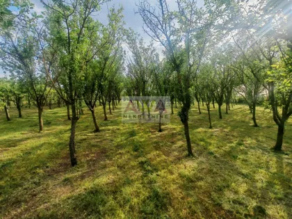 Sivac | 4zida.rs