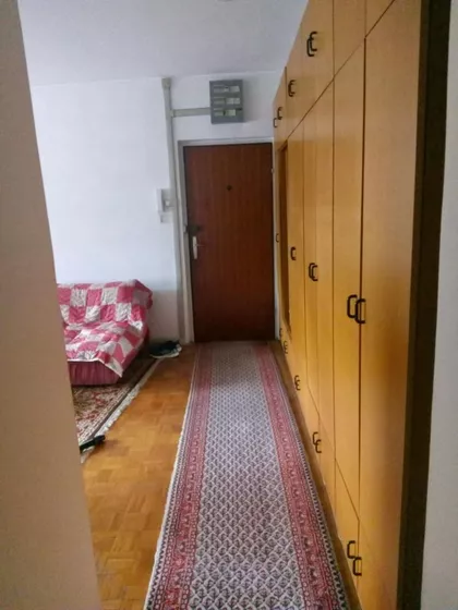 Nova Detelinara | 4zida.rs