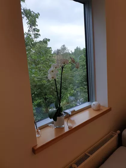 Čair | 4zida.rs