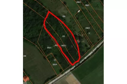 Milivoja Bogdanovića Arnauta | 4zida.rs