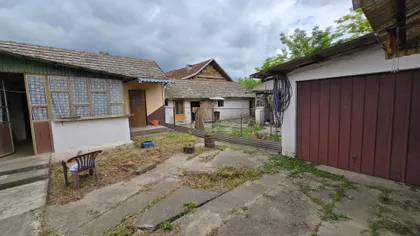Pačir | 4zida.rs