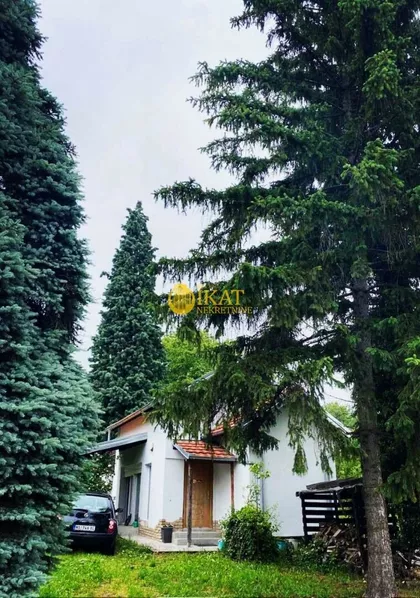 Čortanovački Put | 4zida.rs