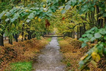 Olimpijska | 4zida.rs