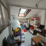 Lokal | 4zida